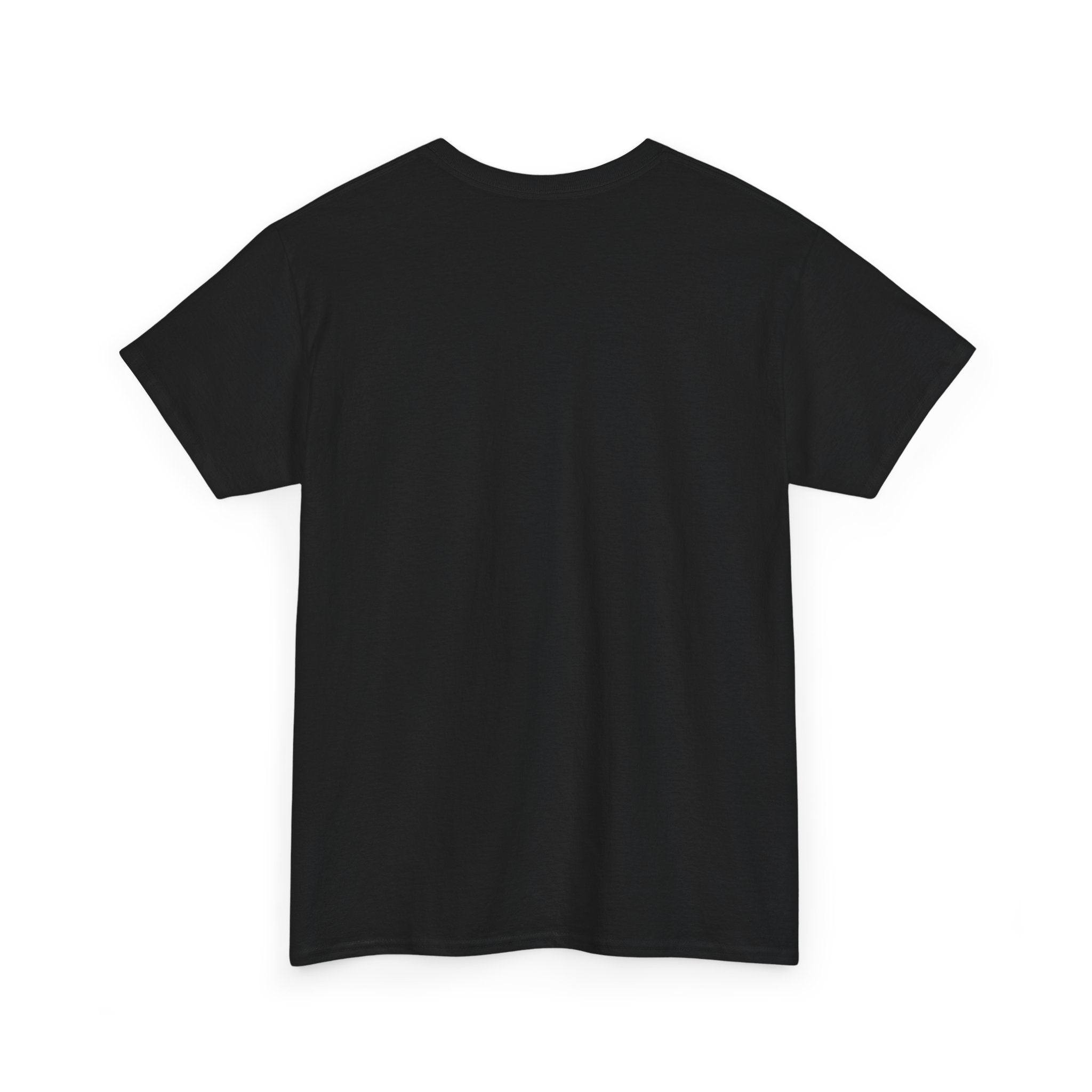 Street Cat Aesthetic Unisex T-Shirt