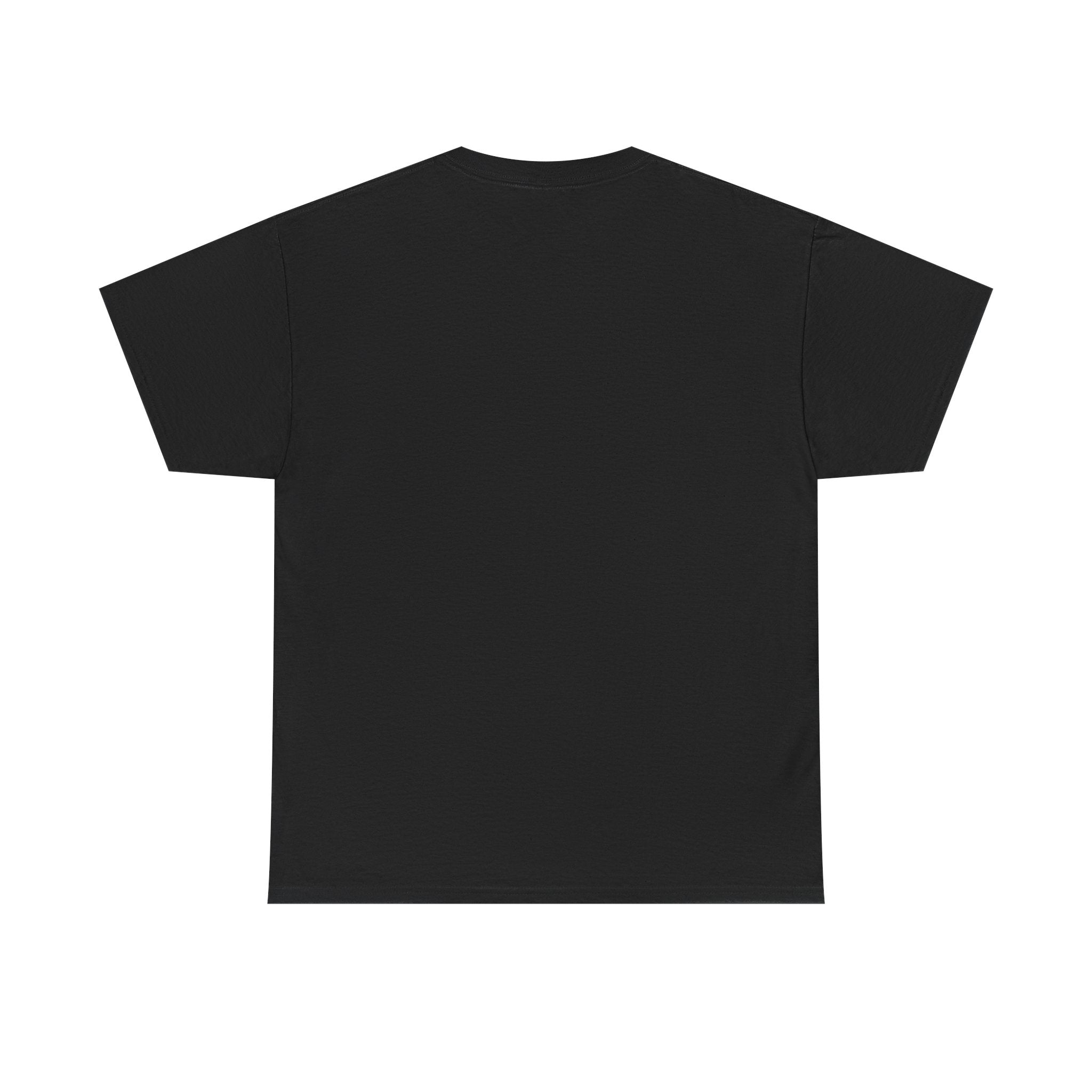 Street Cat Aesthetic Unisex T-Shirt