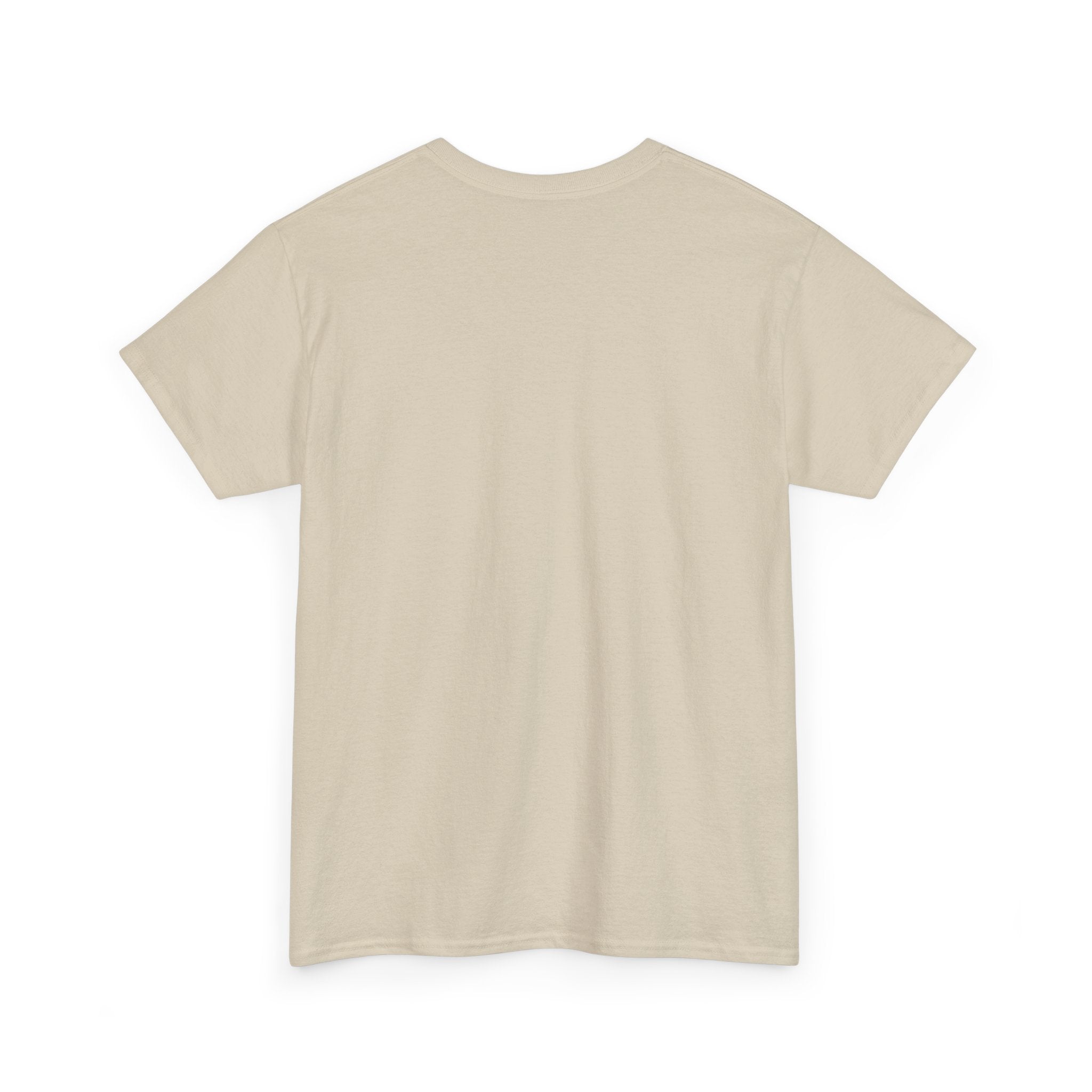 Street Cat Aesthetic Unisex T-Shirt